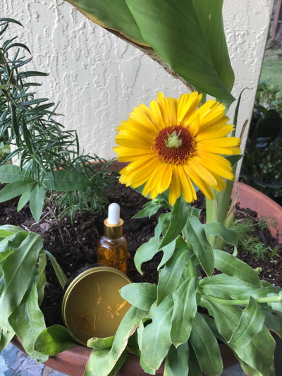 🌼 Everybody’s Balm: Plant-Powered Relief for Every Season