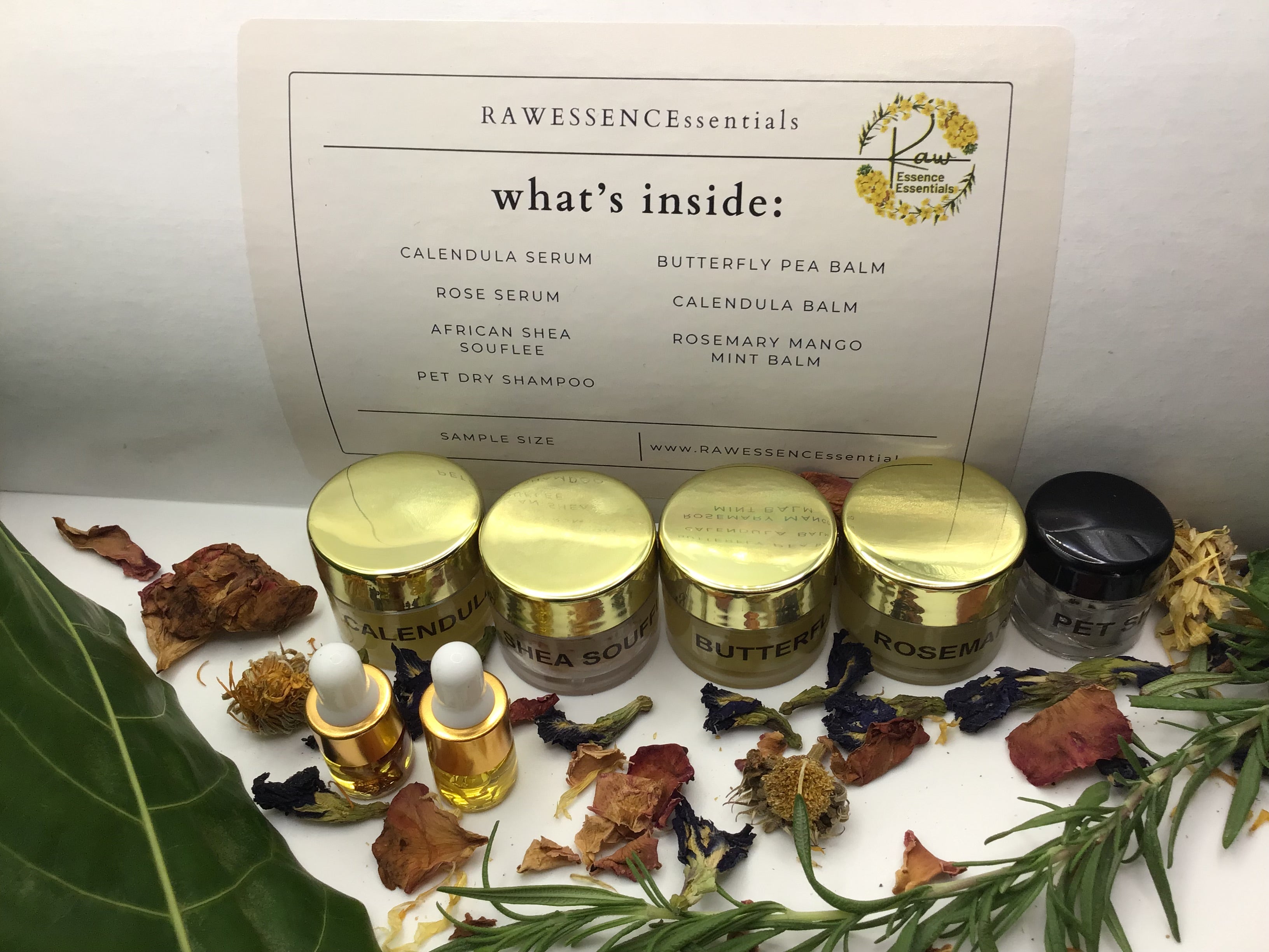 🌱How to Experience Your Botanical Discovery Ritual Set ...